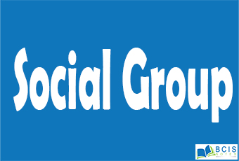 Social Group || The foundations of society || Bcis Notes