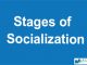 Stages of Socialization || The foundations of society || Bcis Notes