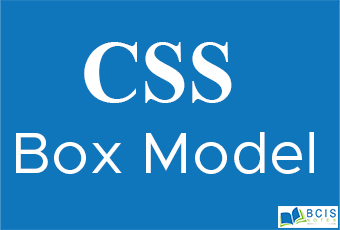 CSS Box Model || Bcis Notes - Bcis Notes